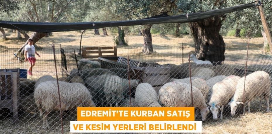 Edremit’te Kurban Satış ve Kesim Yerleri Belirlendi