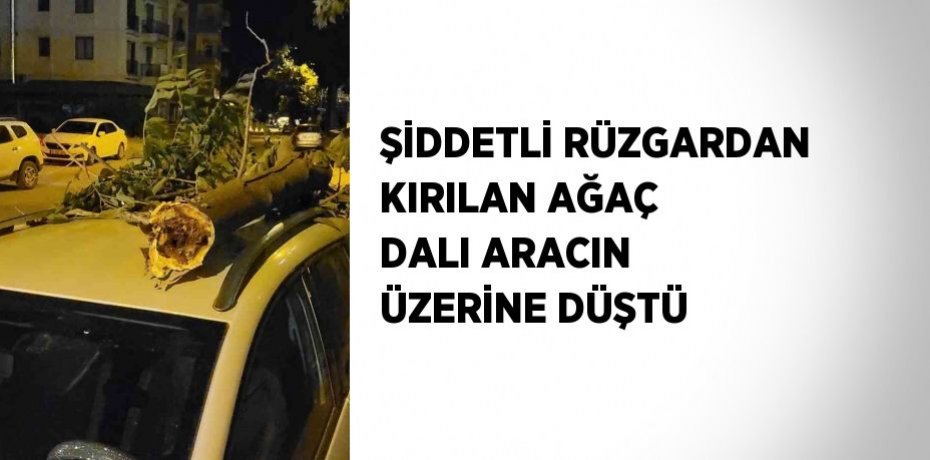ŞİDDETLİ RÜZGARDAN KIRILAN AĞAÇ DALI ARACIN ÜZERİNE DÜŞTÜ