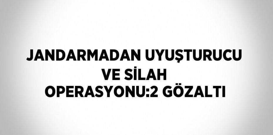 JANDARMADAN UYUŞTURUCU VE SİLAH OPERASYONU:2 GÖZALTI
