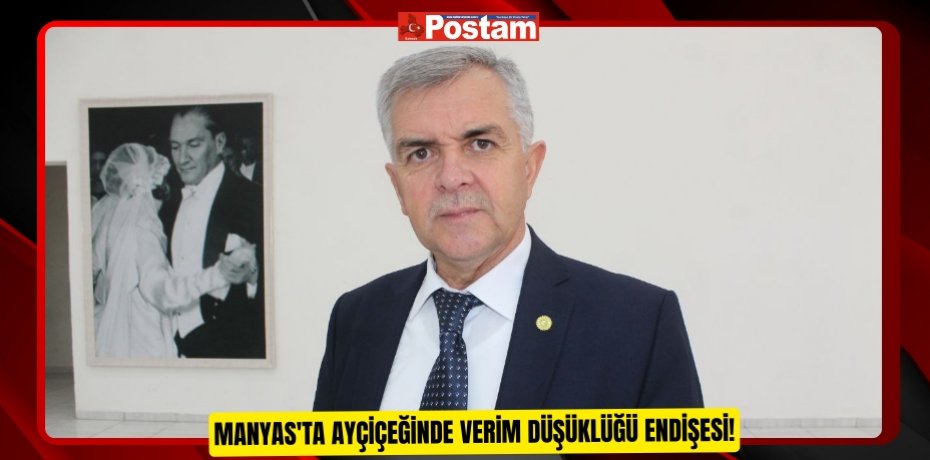 Manyas'ta ayçiçeğinde verim düşüklüğü endişesi!  