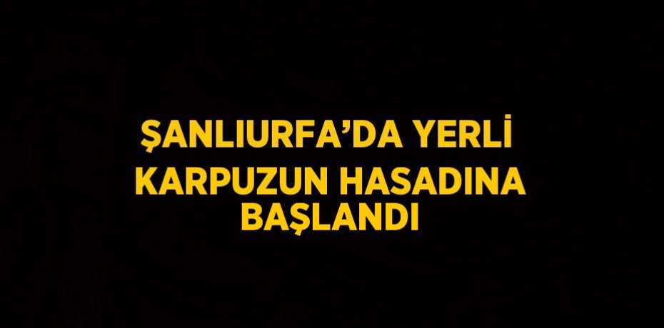 ŞANLIURFA’DA YERLİ KARPUZUN HASADINA BAŞLANDI