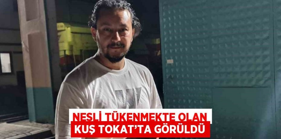 NESLİ TÜKENMEKTE OLAN KUŞ TOKAT’TA GÖRÜLDÜ