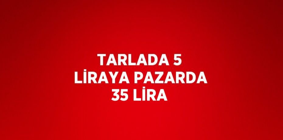 TARLADA 5 LİRAYA PAZARDA 35 LİRA