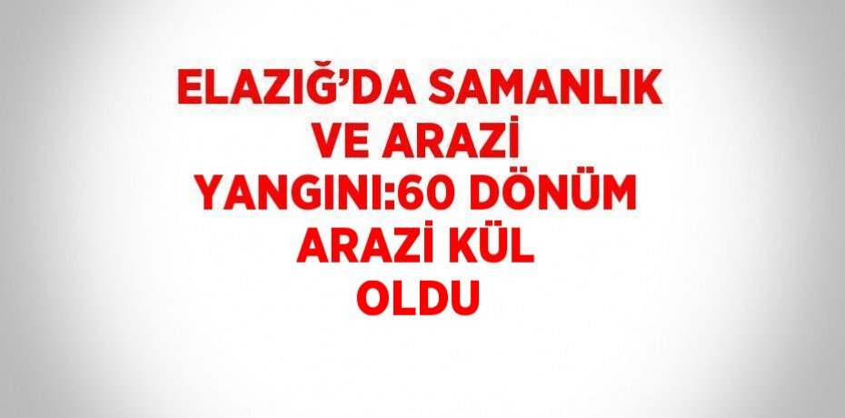 ELAZIĞ’DA SAMANLIK VE ARAZİ YANGINI:60 DÖNÜM ARAZİ KÜL OLDU
