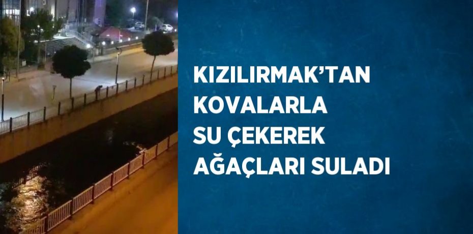 KIZILIRMAK’TAN KOVALARLA SU ÇEKEREK AĞAÇLARI SULADI