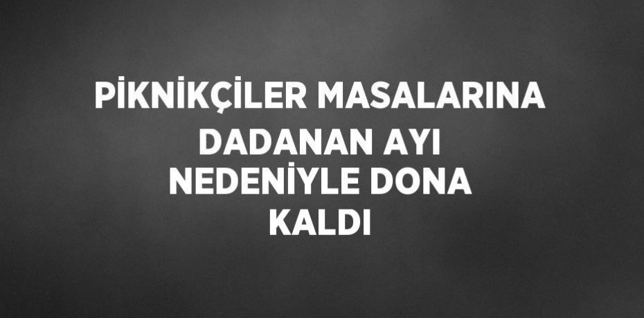 PİKNİKÇİLER MASALARINA DADANAN AYI NEDENİYLE DONA KALDI