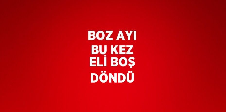BOZ AYI BU KEZ ELİ BOŞ DÖNDÜ