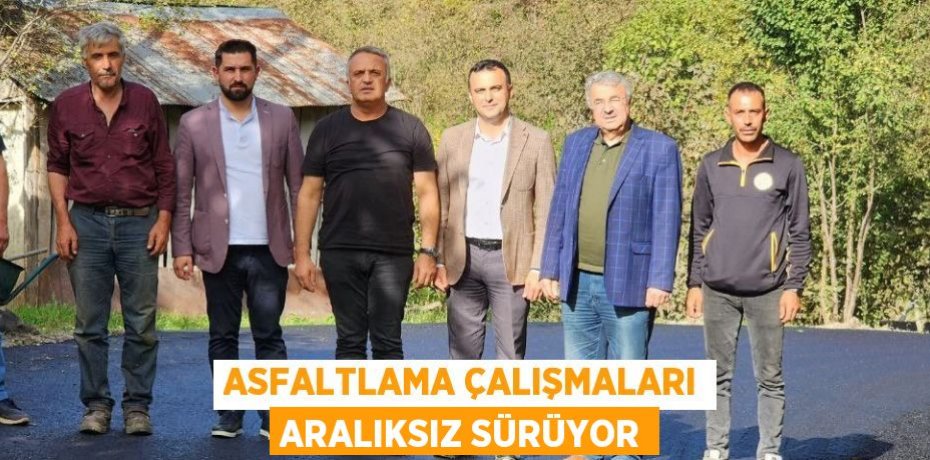 ASFALTLAMA ÇALIŞMALARI ARALIKSIZ SÜRÜYOR