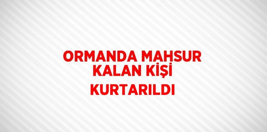 ORMANDA MAHSUR KALAN KİŞİ KURTARILDI