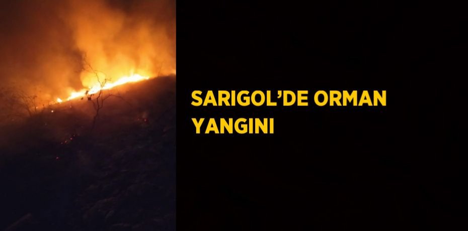 SARIGOL’DE ORMAN YANGINI