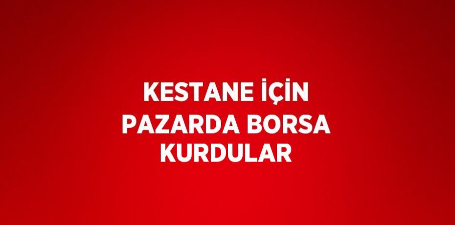 KESTANE İÇİN PAZARDA BORSA KURDULAR