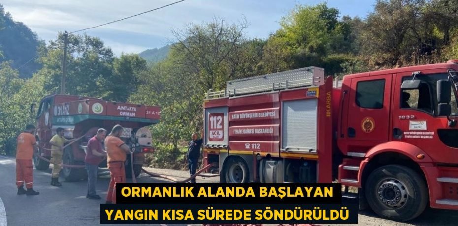 ORMANLIK ALANDA BAŞLAYAN YANGIN KISA SÜREDE SÖNDÜRÜLDÜ