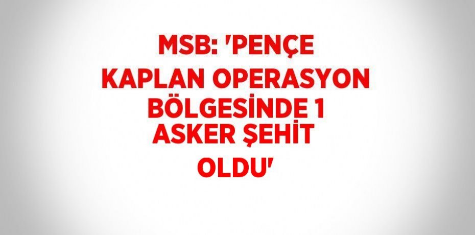 MSB: 'PENÇE KAPLAN OPERASYON BÖLGESİNDE 1 ASKER ŞEHİT OLDU'