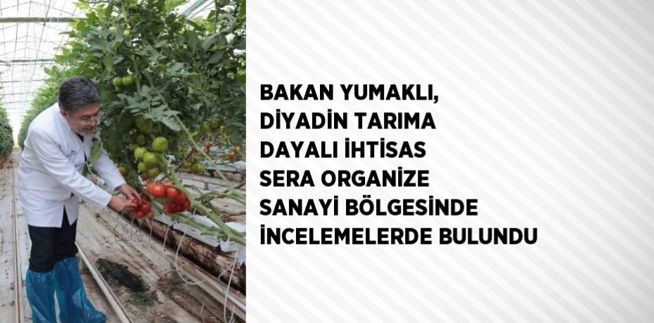 BAKAN YUMAKLI, DİYADİN TARIMA DAYALI İHTİSAS SERA ORGANİZE SANAYİ BÖLGESİNDE İNCELEMELERDE BULUNDU