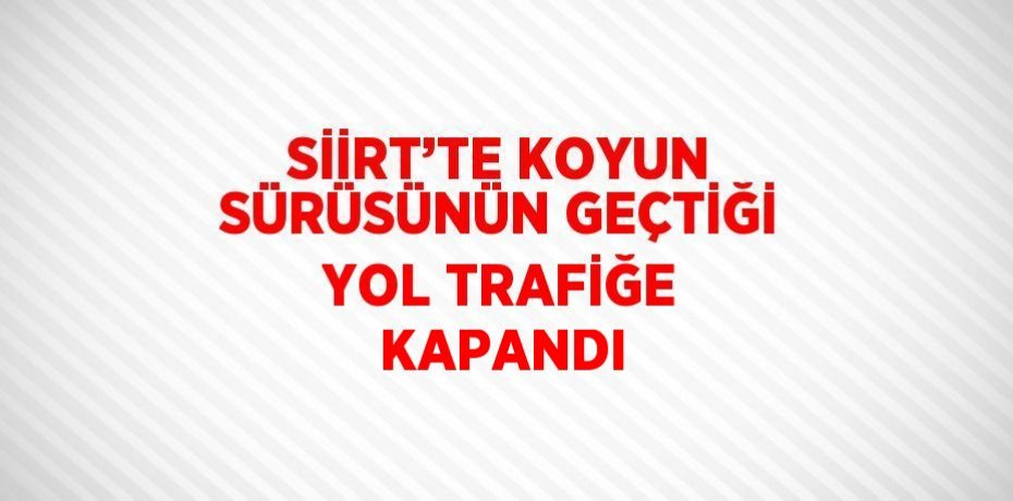 SİİRT’TE KOYUN SÜRÜSÜNÜN GEÇTİĞİ YOL TRAFİĞE KAPANDI