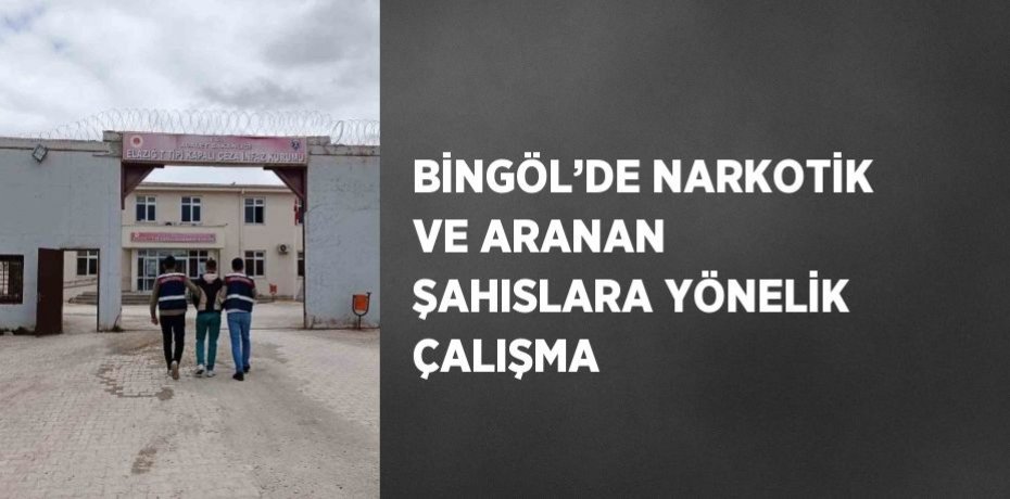 BİNGÖL’DE NARKOTİK VE ARANAN ŞAHISLARA YÖNELİK ÇALIŞMA
