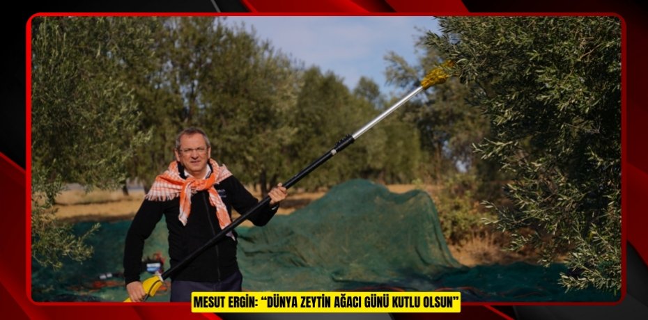 MESUT ERGİN: “DÜNYA ZEYTİN AĞACI GÜNÜ KUTLU OLSUN”