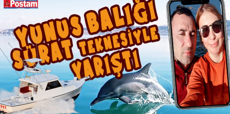 Ayvalık’ta  yunus balığı sürat teknesine meydan okudu