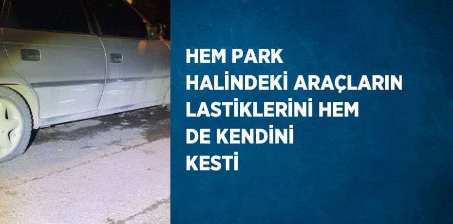 HEM PARK HALİNDEKİ ARAÇLARIN LASTİKLERİNİ HEM DE KENDİNİ KESTİ