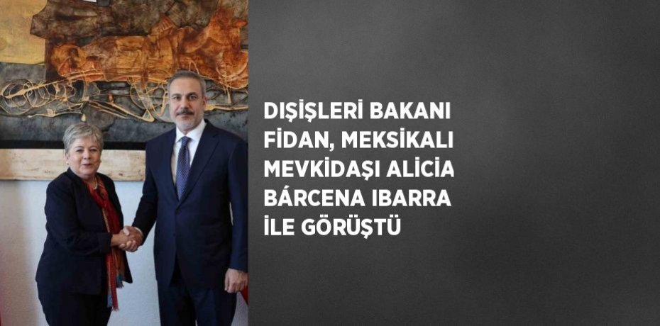 DIŞİŞLERİ BAKANI FİDAN, MEKSİKALI MEVKİDAŞI ALİCİA BÁRCENA IBARRA İLE GÖRÜŞTÜ