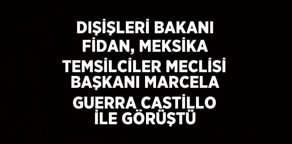 DIŞİŞLERİ BAKANI FİDAN, MEKSİKA TEMSİLCİLER MECLİSİ BAŞKANI MARCELA GUERRA CASTİLLO İLE GÖRÜŞTÜ