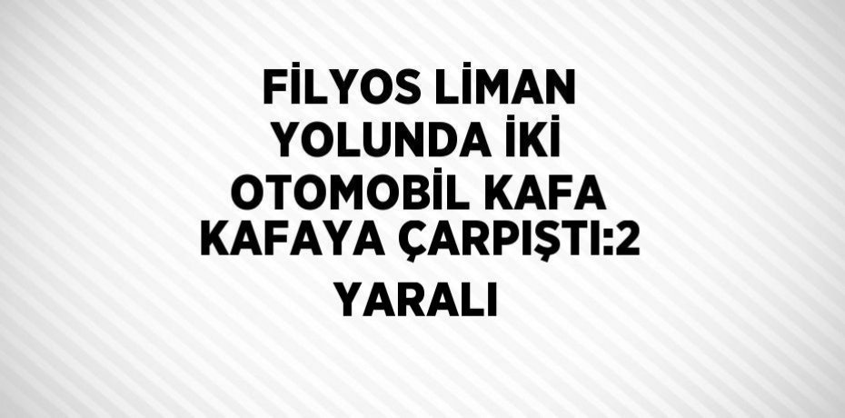 FİLYOS LİMAN YOLUNDA İKİ OTOMOBİL KAFA KAFAYA ÇARPIŞTI:2 YARALI