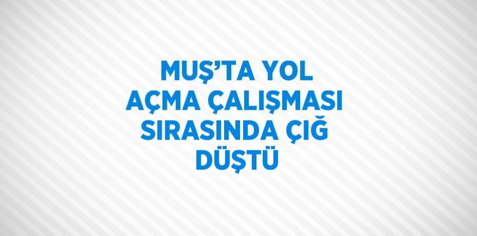 MUŞ’TA YOL AÇMA ÇALIŞMASI SIRASINDA ÇIĞ DÜŞTÜ