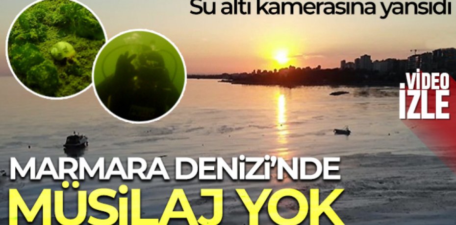 Marmara Denizi'nde müsilaj yok: Su altı kamerasına yansıdı