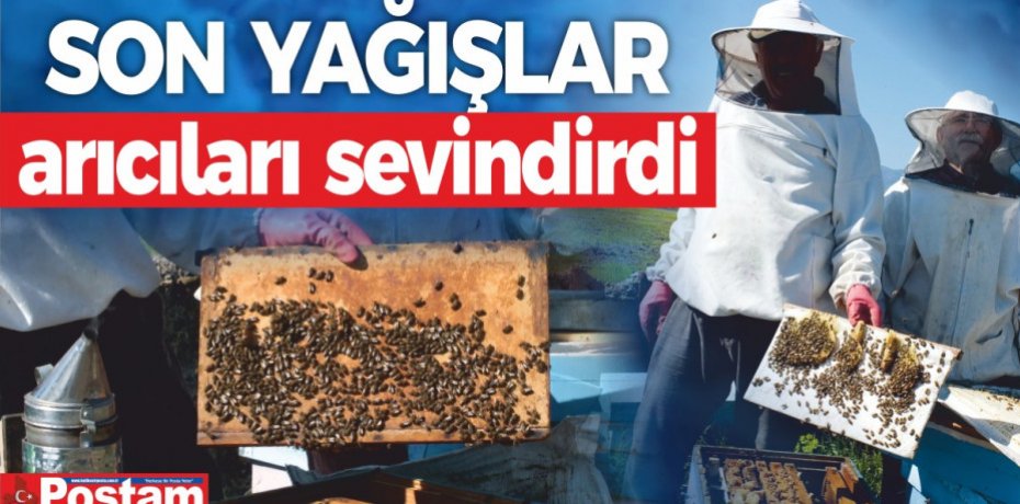 Son yağışlar arıcıları sevindirdi