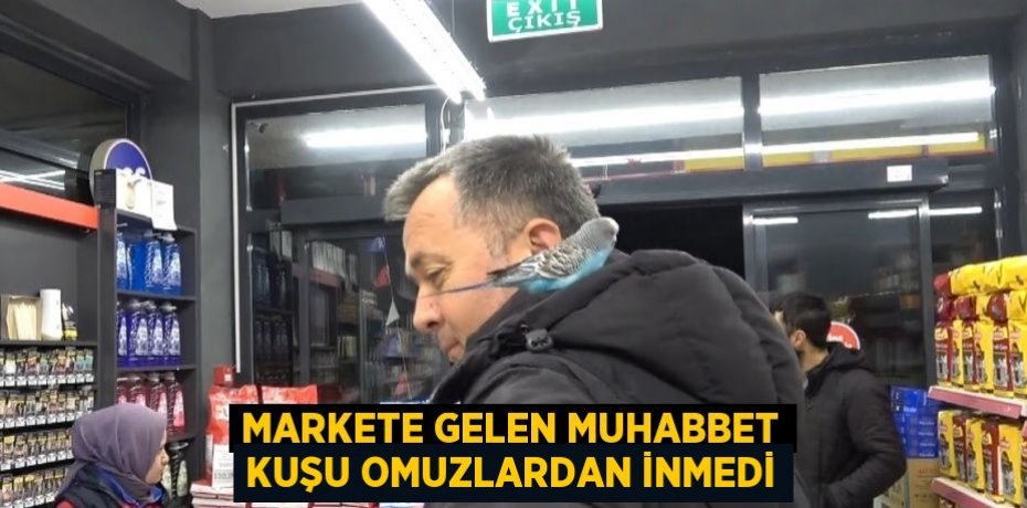 MARKETE GELEN MUHABBET KUŞU OMUZLARDAN İNMEDİ
