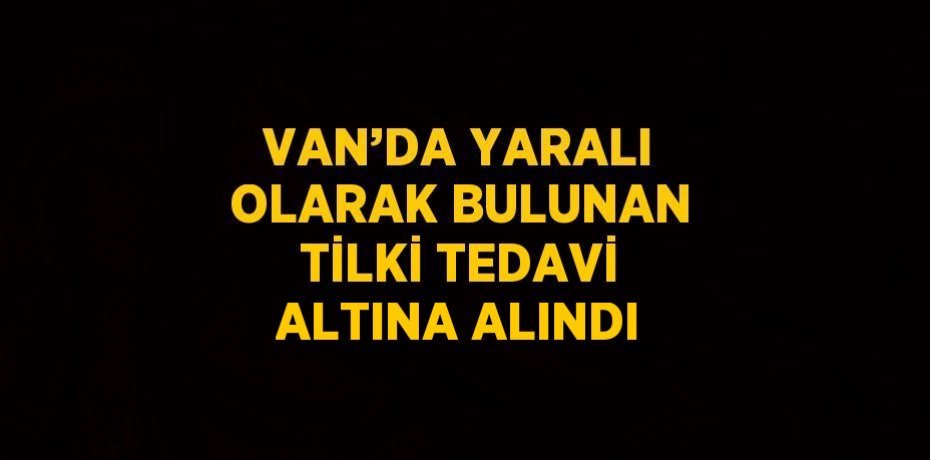 VAN’DA YARALI OLARAK BULUNAN TİLKİ TEDAVİ ALTINA ALINDI