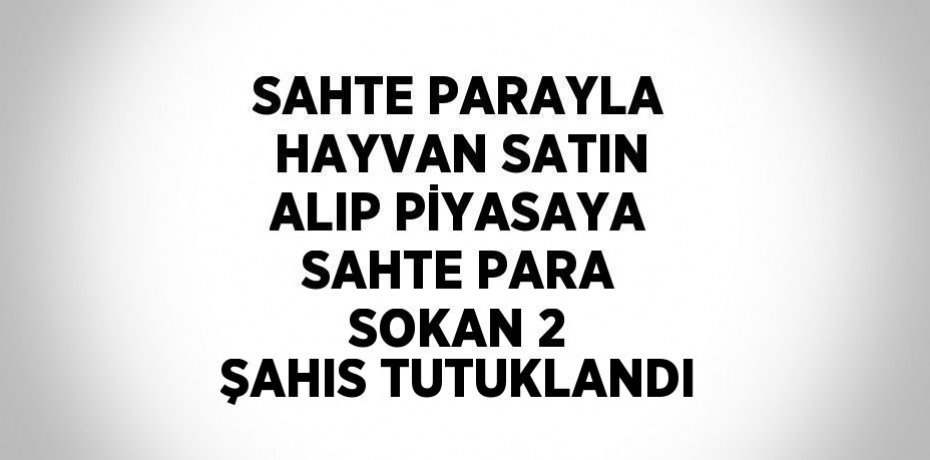 SAHTE PARAYLA HAYVAN SATIN ALIP PİYASAYA SAHTE PARA SOKAN 2 ŞAHIS TUTUKLANDI