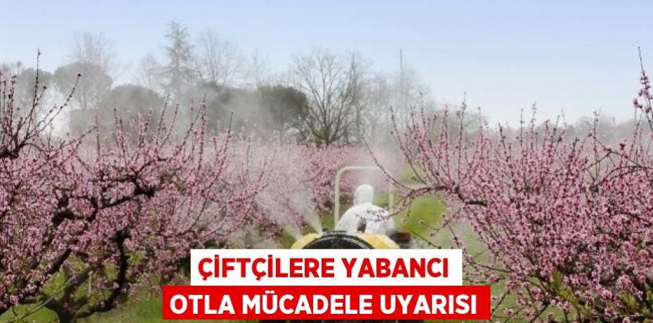 ÇİFTÇİLERE YABANCI OTLA MÜCADELE UYARISI
