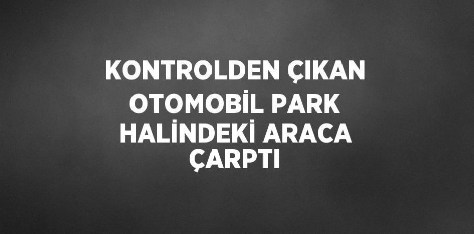 KONTROLDEN ÇIKAN OTOMOBİL PARK HALİNDEKİ ARACA ÇARPTI