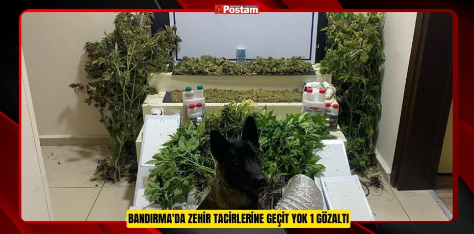 Bandırma'da zehir tacirlerine geçit yok: 1 gözaltı  