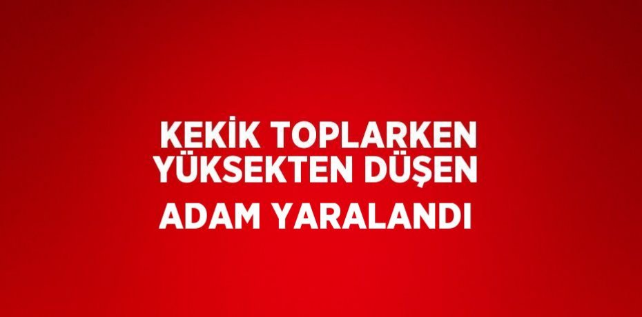KEKİK TOPLARKEN YÜKSEKTEN DÜŞEN ADAM YARALANDI