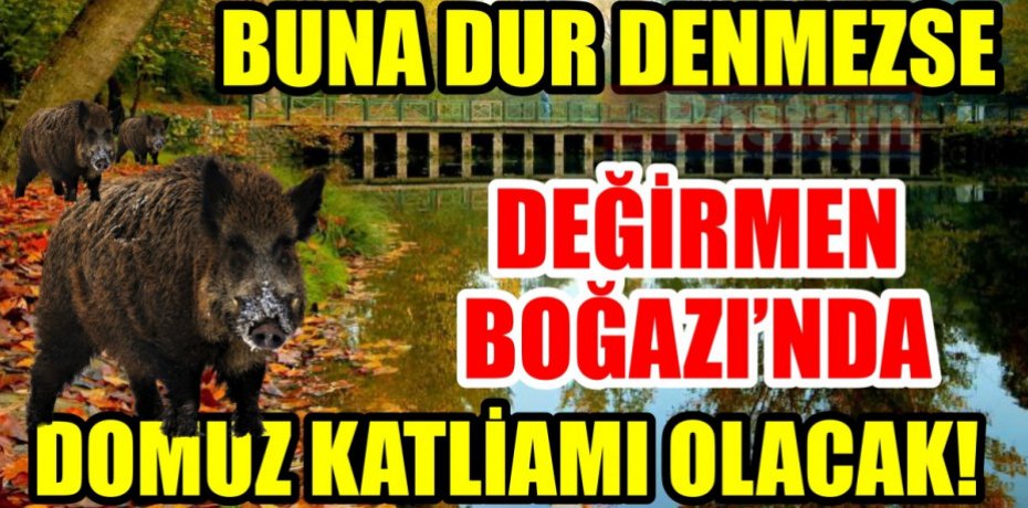 BU ACI­MA­SIZ­LI­ĞA DUR DİYİN!!!