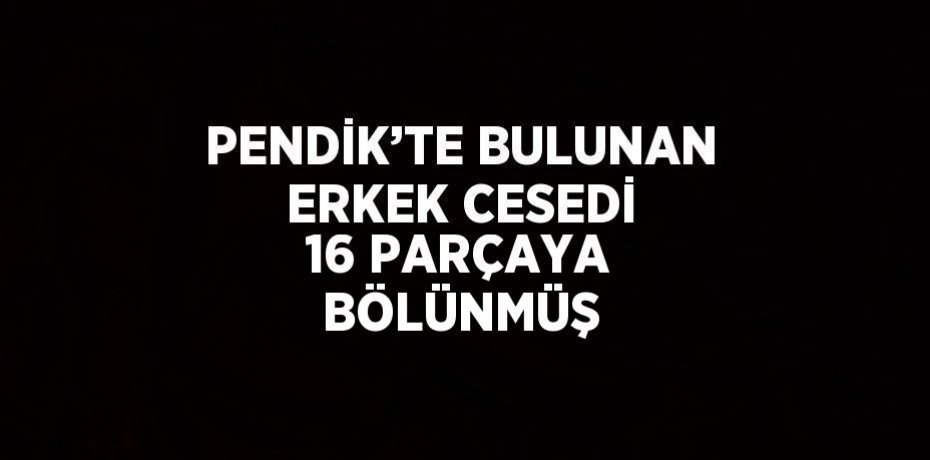 PENDİK’TE BULUNAN ERKEK CESEDİ 16 PARÇAYA BÖLÜNMÜŞ