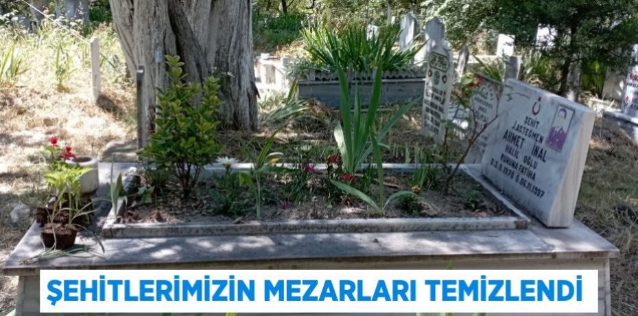 Şehitlerimizin Mezarları Temizlendi