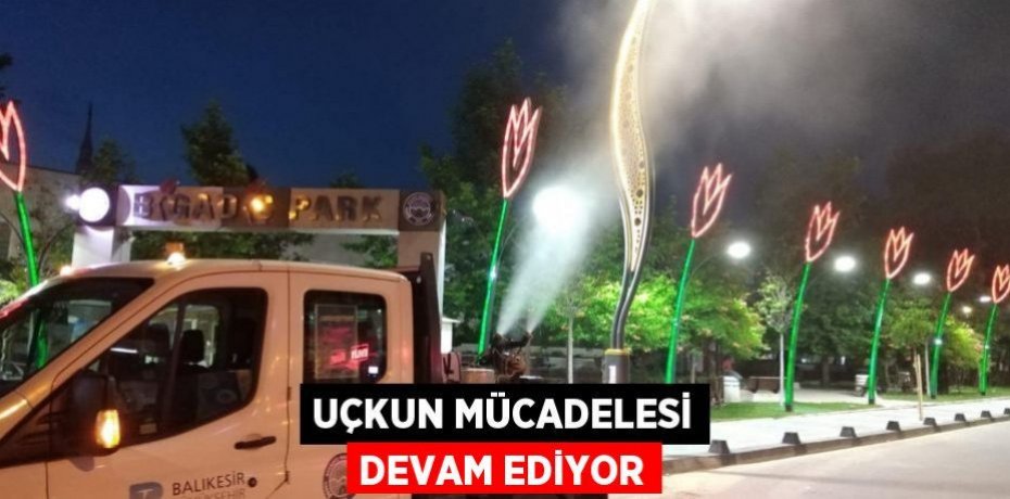 Uçkun mücadelesi devam ediyor