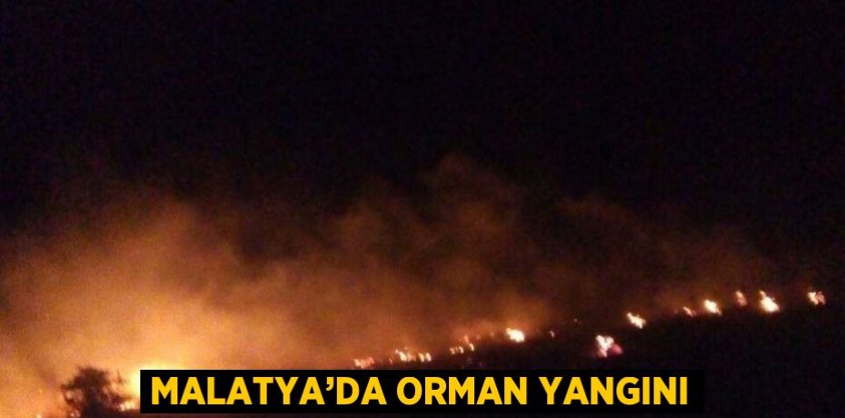 MALATYA’DA ORMAN YANGINI