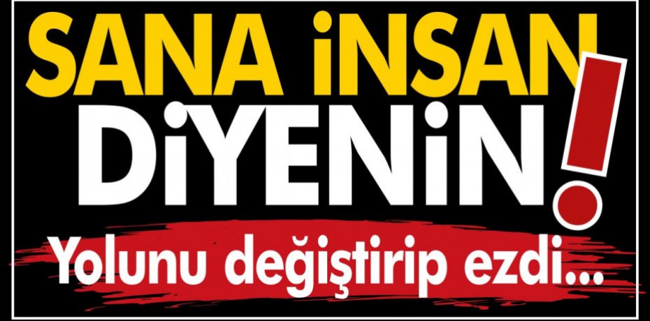 SANA İNSAN DİYENİN...