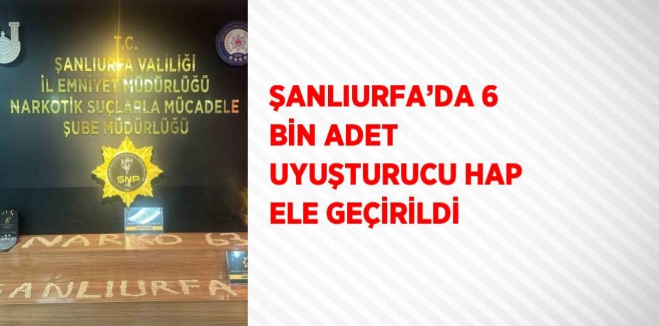 ŞANLIURFA’DA 6 BİN ADET UYUŞTURUCU HAP ELE GEÇİRİLDİ