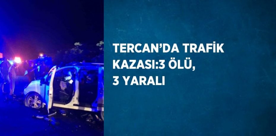TERCAN’DA TRAFİK KAZASI:3 ÖLÜ, 3 YARALI
