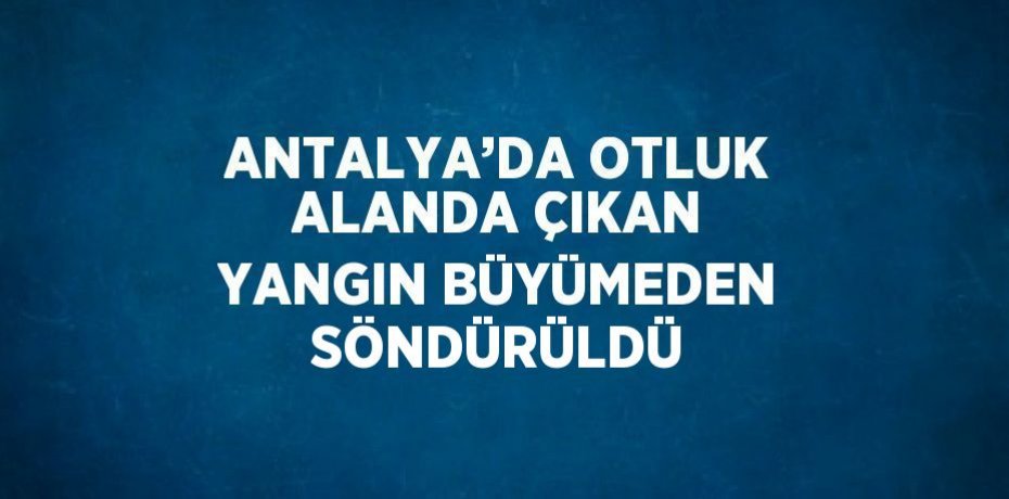 ANTALYA’DA OTLUK ALANDA ÇIKAN YANGIN BÜYÜMEDEN SÖNDÜRÜLDÜ