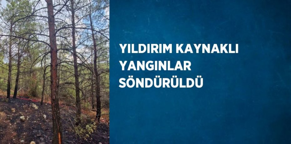 YILDIRIM KAYNAKLI YANGINLAR SÖNDÜRÜLDÜ