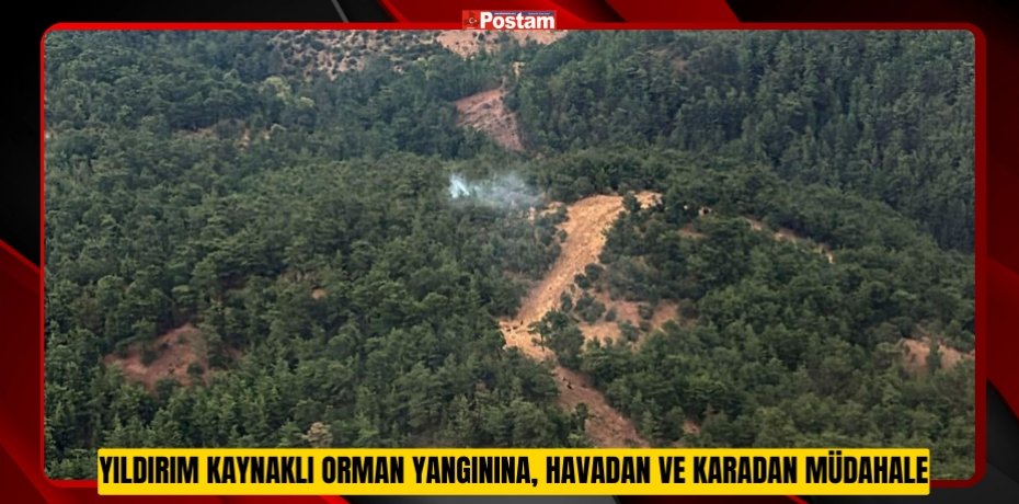 Yıldırım kaynaklı orman yangınına, havadan ve karadan müdahale