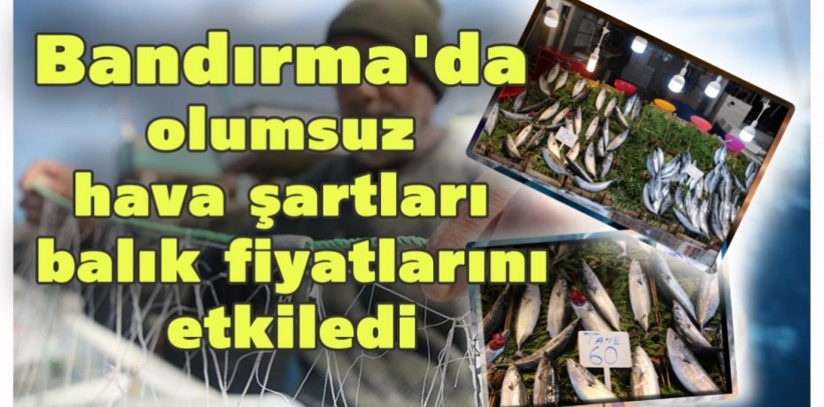 Bandırma'da olumsuz hava şartları balık fiyatlarını etkiledi