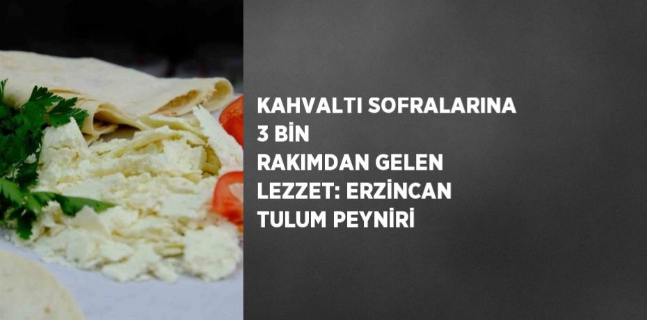 KAHVALTI SOFRALARINA 3 BİN RAKIMDAN GELEN LEZZET: ERZİNCAN TULUM PEYNİRİ