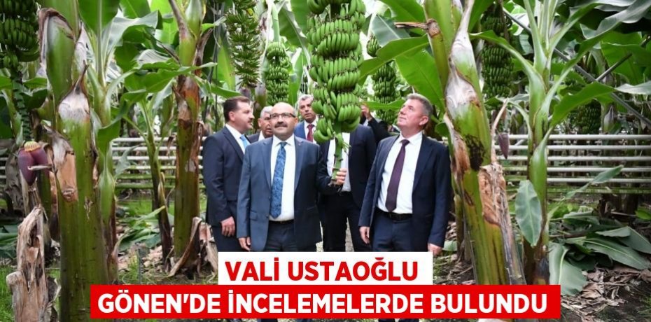 Vali Ustaoğlu Gönen’de İncelemelerde Bulundu